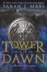 Image for Tower of Dawn