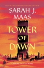 Image for Tower of dawn