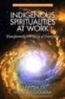 Image for Indigenous Spiritualities at Work : Transforming the Spirit of Enterprise
