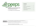 Image for Profiles of Early Expressive Phonological Skills (PEEPS™) Forms