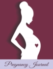 Image for Pregnancy Journal : Full Color: Jumbo Size (8.5 x 11)