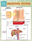 Image for Digestive System (Speedy Study Guides)