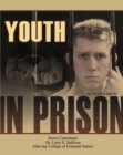 Image for Youth in Prison