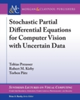 Image for Stochastic partial differential equations for computer vision with uncertain data