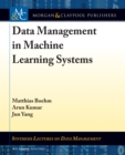 Image for Data Management in Machine Learning Systems