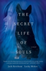 Image for The Secret Life of Souls: A Novel