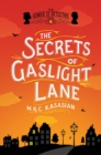 Image for Secrets of Gaslight Lane: The Gower Street Detective: Book 4
