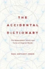 Image for The Accidental Dictionary : The Remarkable Twists and Turns of English Words