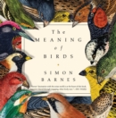 Image for Meaning of Birds