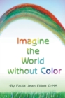 Image for Imagine the World Without Color