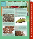 Image for Guide To Herbs And Spices (Speedy Study Guides)