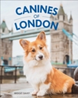 Image for Canines of London