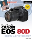 Image for David Busch&#39;s Canon EOS 80D Guide to Digital SLR Photography