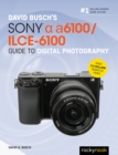 Image for David Busch&#39;s Sony Alpha A6100/ILCE-6100 Guide to Digital Photography