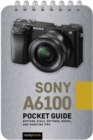 Image for Sony a6100: Pocket Guide