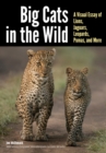 Image for Big cats in the wild: a visual essay of lions, jaguars, leopards, pumas, and more
