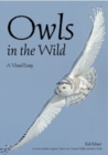 Image for Owls in the wild  : a visual essay