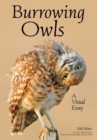 Image for Burrowing Owls : A Visual Essay