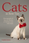 Image for Cats in Bow Ties: Photographs &amp; Rescue Stories of Shelter Cats With Style