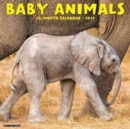 Image for Baby Animals 2017 Wall Calendar