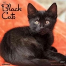 Image for Just Black Cats