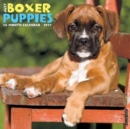 Image for Just Boxer Puppies 2017 Wall Calendar