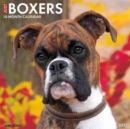 Image for Just Boxers 2017 Wall Calendar