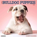 Image for Just Bulldog Puppies 2017 Wall Calendar