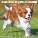 Image for Just Cavalier King Charles Spaniels
