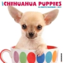 Image for Just Chihuahua Puppies 2017 Wall Calendar