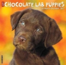 Image for Just Chocolate Lab Puppies 2017 Wall Calendar