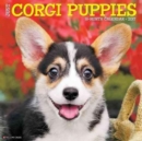 Image for Just Corgi Puppies 2017 Wall Calendar