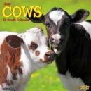 Image for Just Cows 2017 Wall Calendar