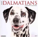 Image for Just Dalmatians 2017 Wall Calendar
