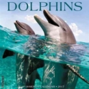 Image for Dolphins 2017 Wall Calendar