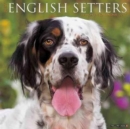 Image for Just English Setters 2017 Wall Calendar