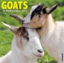 Image for Goats 2017 Wall Calendar
