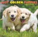 Image for Just Golden Puppies 2017 Wall Calendar