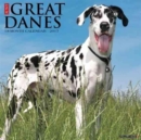 Image for Just Great Danes 2017 Wall Calendar