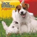 Image for Just Jack Russell Puppies 2017 Wall Calendar