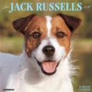 Image for Just Jack Russells 2017 Wall Calendar