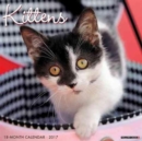 Image for Just Kittens 2017 Wall Calendar