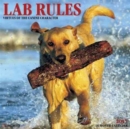 Image for Lab Rules 2017 Wall Calendar