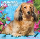 Image for Just Mini Dachshunds 2017 Wall Calendar