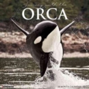 Image for Orcas