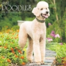 Image for Just Poodles 2017 Wall Calendar