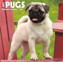 Image for Just Pugs 2017 Wall Calendar