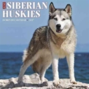 Image for Just Siberian Huskies 2017 Wall Calendar