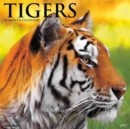 Image for Tigers 2017 Wall Calendar