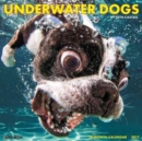 Image for Underwater Dogs